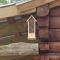 Tiny house LogCabinBnB - Ren Fest Renaissance Festival Bernhardt Arrowhead Hill Olde Dobbin Station Ranch House Farmhouse Wedding Venue Houston Woodlands College Station TAMU