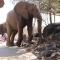 Mbizi Bush Lodge