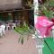 Oleander B&B