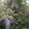 The Hideaway at Duffryn Mawr Self Catering Cottages