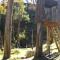 Altai Oasis Lodge