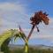 Klipfontein Rustic Farm & Camping