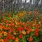 Klipfontein Rustic Farm & Camping