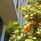MD Modern Hotel - Jardines