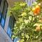 MD Modern Hotel - Jardines