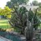 Degania Bet Kibbutz Country Lodging - Kinneret