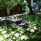 Villa Sunshine photo 8