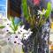 Residencial Flor- Hilda