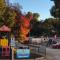Acacia Caravan Park & Holiday Units