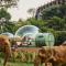 Anantara Golden Triangle Elephant Camp & Resort - Golden Triangle