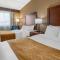 Comfort Inn Lancaster County North