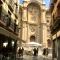 HNN GRANADA