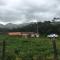 Finca San Carlos 100% pet friendly