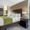 Comfort Inn & Suites Tualatin - Lake Oswego South - Tualatin