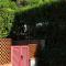 Villa Santulli with private pool