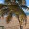 Cozy Beach Apartment - Luquillo