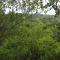 Lodging Vidmar