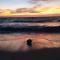 SeaEsta Beach