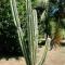 Lodges Balourou