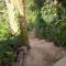 ECO Bedugul adventurer camp