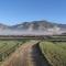 Finca Bellas Vistas