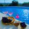 Holiday Home Sego with Private Pool - Veliki Broćanac
