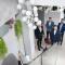 NoBo Hotel - business