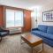 Holiday Inn Express Hotel & Suites O'Fallon-Shiloh, an IHG Hotel - Shiloh