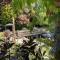 Woodpaddock Bed & Breakfast