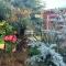 Woodpaddock Bed & Breakfast