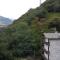 B&B Al Carotin