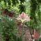 Guest House Rimski Most