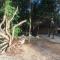 Tulum Nueve