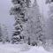 CrisAnd Wald &Terrasse