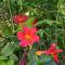 Pisco Elqui HolidayHome