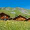 Résidence Odalys Les Chalets de lArvan II