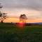 HAPPY PLACE Pusteblume