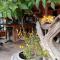 The Canale Boutique Stay Koh Kood