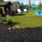 Family place