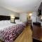 Red Roof Inn Arlington - Entertainment District