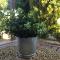 Holiday Home Pissouri Limassol