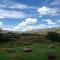 Old Mill Drift Guest Farm - Clarens