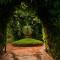 The Fern Ranthambore Forest Resort Rajasthan
