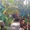 The Funky Dodo Backpackers Hostel