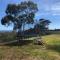 Harbour Lookout - Strahan