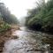 Vythiri Stream View