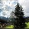 Chalet Schmittenbach - Pinzgau Holidays - Zell am See