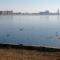 Luxury Westpark 2 Residence Lake View W6 - بوخارست