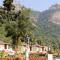 Matha Forest Resort