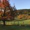 Gîte Léonline sur les hauteurs de Masevaux -au pied des Vosges - Masevaux